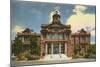 Courthouse, Fort Worth, Texas-null-Mounted Art Print