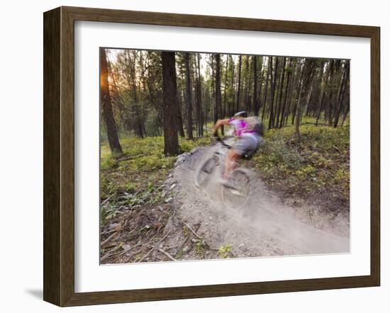 Courtney Feldt Mountain Bikes on Singletrack of the Whitefish Trail Near Whitefish, Montana, Usa-Chuck Haney-Framed Photographic Print