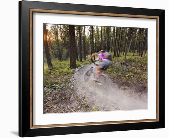 Courtney Feldt Mountain Bikes on Singletrack of the Whitefish Trail Near Whitefish, Montana, Usa-Chuck Haney-Framed Photographic Print