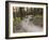 Courtney Feldt Mountain Bikes on Singletrack of the Whitefish Trail Near Whitefish, Montana, Usa-Chuck Haney-Framed Photographic Print