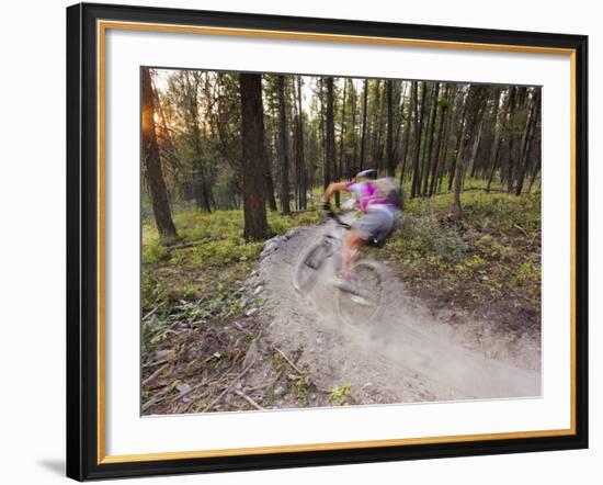 Courtney Feldt Mountain Bikes on Singletrack of the Whitefish Trail Near Whitefish, Montana, Usa-Chuck Haney-Framed Photographic Print