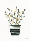 Herb Garden VII-Courtney Prahl-Art Print