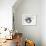 Courtship-Mark Adlington-Framed Giclee Print displayed on a wall