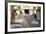 Courtyard at the Roman Villa, the House of the Stags, Herculaneum, Italy-CM Dixon-Framed Photographic Print