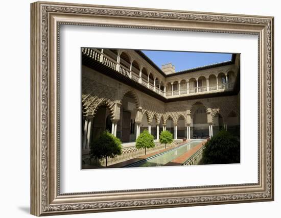 Courtyard Garden, Alcazar, UNESCO World Heritage Site, Seville, Andalucia, Spain, Europe-Peter Barritt-Framed Photographic Print