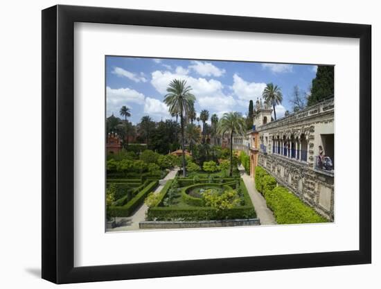 Courtyard Gardens, Alcazar, UNESCO World Heritage Site, Seville, Andalucia, Spain, Europe-Peter Barritt-Framed Photographic Print