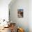 Courtyard in the Old Bazaar, Kashan, Iran, Middle East-James Strachan-Photographic Print displayed on a wall