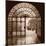 Courtyard in Venezia (sepia)-Alan Blaustein-Mounted Photographic Print