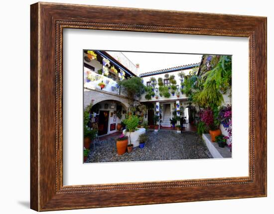 Courtyard of Casa Patio, Cordoba, Andalucia, Spain-Carlo Morucchio-Framed Photographic Print