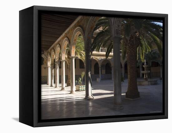 Courtyard of the Hospital of San Juan De Dios, Granada, Andalucia, Spain-Sheila Terry-Framed Premier Image Canvas