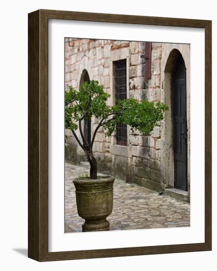 Courtyard of Topkapi Palace, Istanbul, Turkey-Joe Restuccia III-Framed Photographic Print