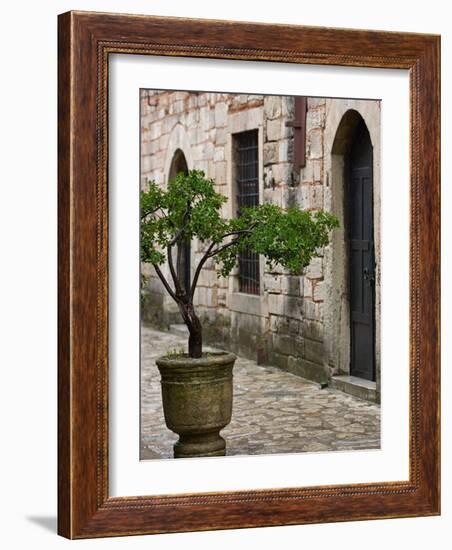 Courtyard of Topkapi Palace, Istanbul, Turkey-Joe Restuccia III-Framed Photographic Print