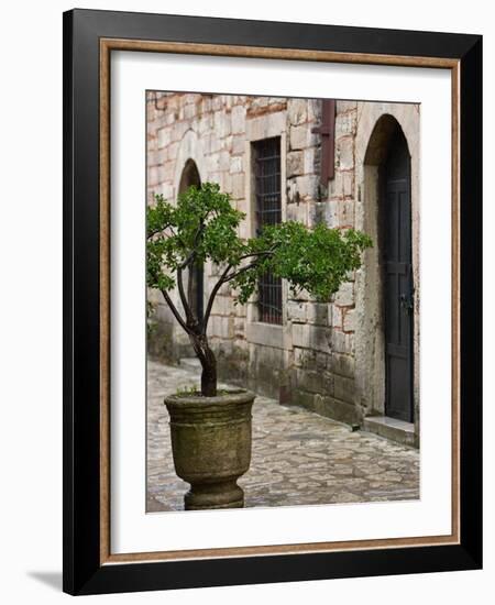 Courtyard of Topkapi Palace, Istanbul, Turkey-Joe Restuccia III-Framed Photographic Print