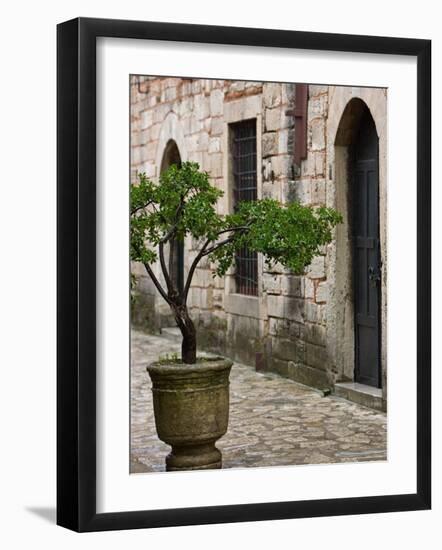 Courtyard of Topkapi Palace, Istanbul, Turkey-Joe Restuccia III-Framed Photographic Print
