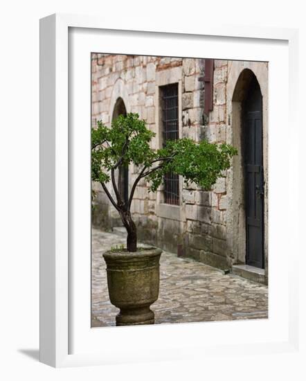 Courtyard of Topkapi Palace, Istanbul, Turkey-Joe Restuccia III-Framed Photographic Print