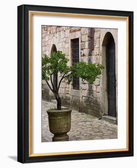 Courtyard of Topkapi Palace, Istanbul, Turkey-Joe Restuccia III-Framed Photographic Print