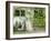 Courtyard off Psoriases, Graz, Styria, Austria-Walter Bibikow-Framed Photographic Print