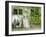 Courtyard off Psoriases, Graz, Styria, Austria-Walter Bibikow-Framed Photographic Print