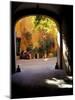 Courtyard Plants and Motorcycle, Rome, Italy-Merrill Images-Mounted Photographic Print