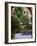 Courtyard, San Miguel De Allende, Mexico-Alice Garland-Framed Photographic Print