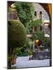 Courtyard, San Miguel De Allende, Mexico-Alice Garland-Mounted Photographic Print