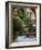 Courtyard, San Miguel De Allende, Mexico-Alice Garland-Framed Photographic Print