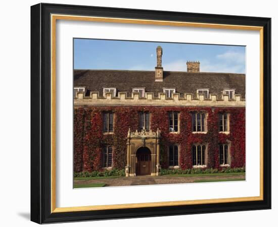 Courtyard, Trinity College, Cambridge, Cambridgeshire, England, United Kingdom, Europe-Steve Bavister-Framed Photographic Print