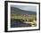 Cove and Village of Ashleam, Achill Island, County Mayo, Connacht, Republic of Ireland-Gary Cook-Framed Photographic Print