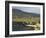 Cove and Village of Ashleam, Achill Island, County Mayo, Connacht, Republic of Ireland-Gary Cook-Framed Photographic Print