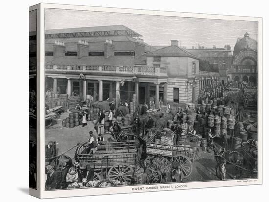 Stretched Canvas Print, , large
