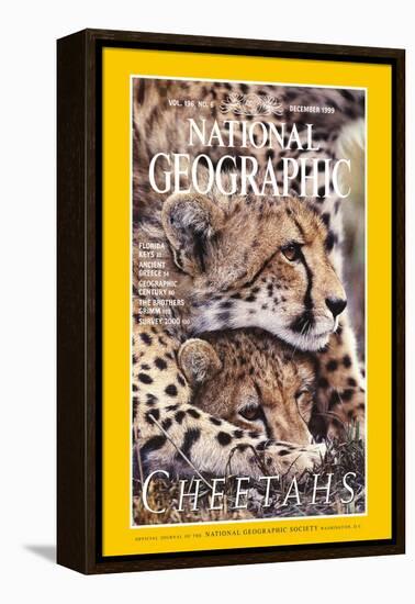 Cover of the December, 1999 National Geographic Magazine-Chris Johns-Framed Premier Image Canvas