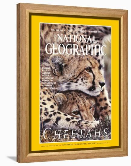 Cover of the December, 1999 National Geographic Magazine-Chris Johns-Framed Premier Image Canvas