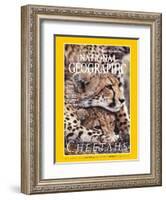 Cover of the December, 1999 National Geographic Magazine-Chris Johns-Framed Photographic Print