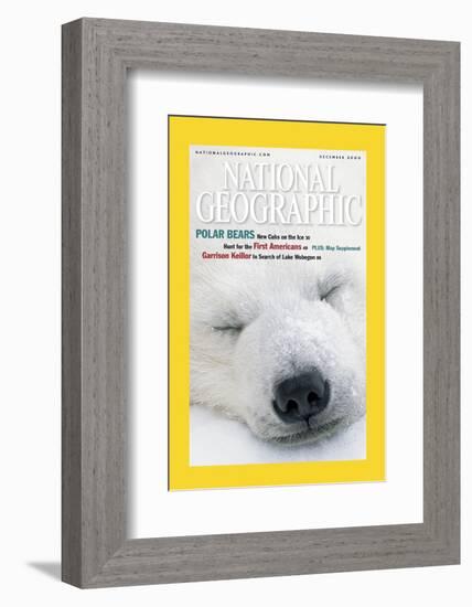 Cover of the December, 2000 National Geographic Magazine-Norbert Rosing-Framed Photographic Print