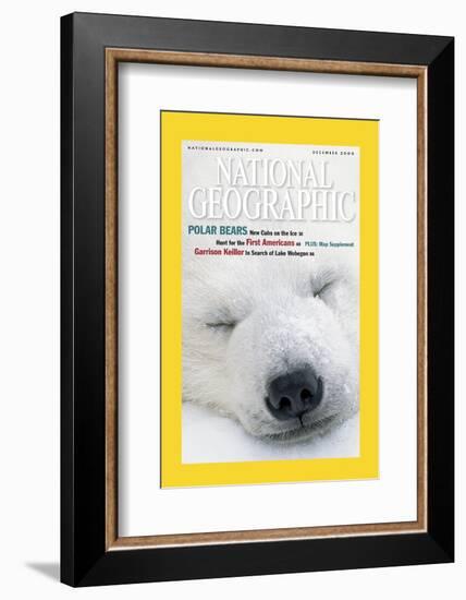 Cover of the December, 2000 National Geographic Magazine-Norbert Rosing-Framed Photographic Print