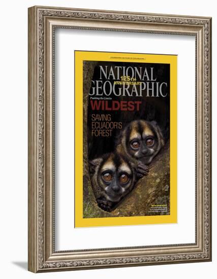 Cover of the January, 2013 National Geographic Magazine-Tim Laman-Framed Photographic Print