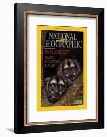 Cover of the January, 2013 National Geographic Magazine-Tim Laman-Framed Photographic Print