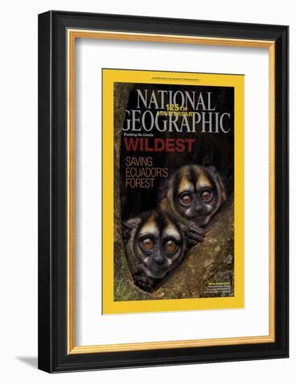 Cover of the January, 2013 National Geographic Magazine-Tim Laman-Framed Photographic Print