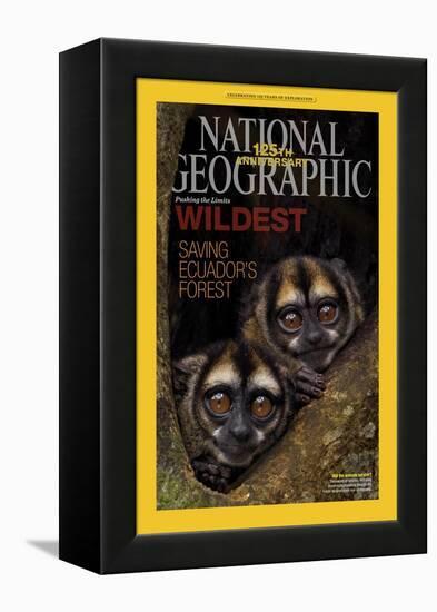 Cover of the January, 2013 National Geographic Magazine-Tim Laman-Framed Premier Image Canvas