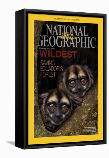 Cover of the January, 2013 National Geographic Magazine-Tim Laman-Framed Premier Image Canvas
