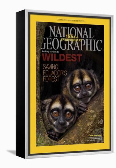 Cover of the January, 2013 National Geographic Magazine-Tim Laman-Framed Premier Image Canvas