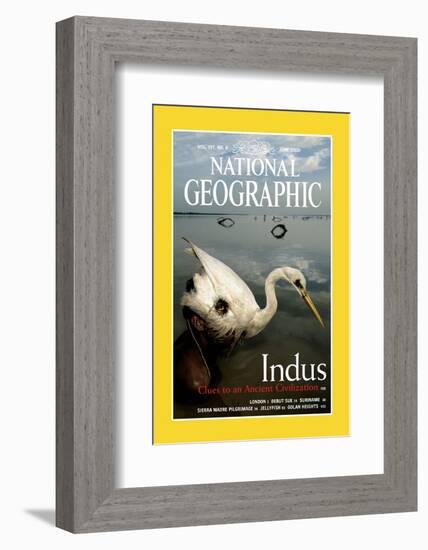 Cover of the June, 2000 National Geographic Magazine-Randy Olson-Framed Photographic Print