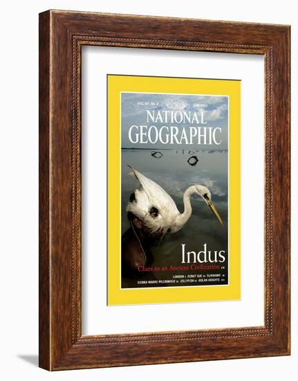 Cover of the June, 2000 National Geographic Magazine-Randy Olson-Framed Photographic Print