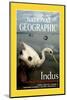 Cover of the June, 2000 National Geographic Magazine-Randy Olson-Mounted Photographic Print