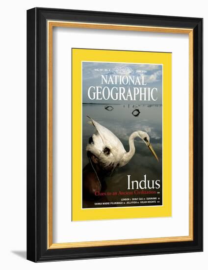 Cover of the June, 2000 National Geographic Magazine-Randy Olson-Framed Photographic Print