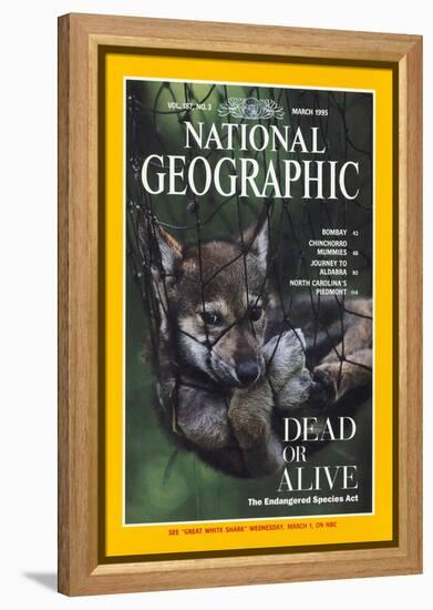 Cover of the March, 1995 National Geographic Magazine-Joel Sartore-Framed Premier Image Canvas