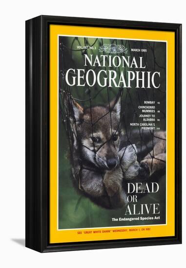 Cover of the March, 1995 National Geographic Magazine-Joel Sartore-Framed Premier Image Canvas