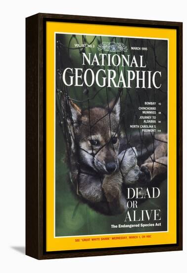 Cover of the March, 1995 National Geographic Magazine-Joel Sartore-Framed Premier Image Canvas