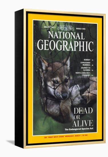 Cover of the March, 1995 National Geographic Magazine-Joel Sartore-Framed Premier Image Canvas