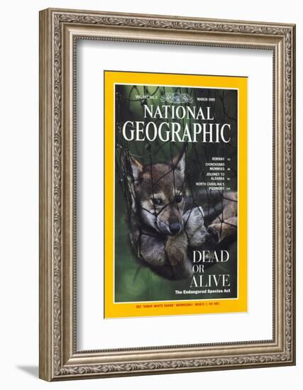 Cover of the March, 1995 National Geographic Magazine-Joel Sartore-Framed Photographic Print